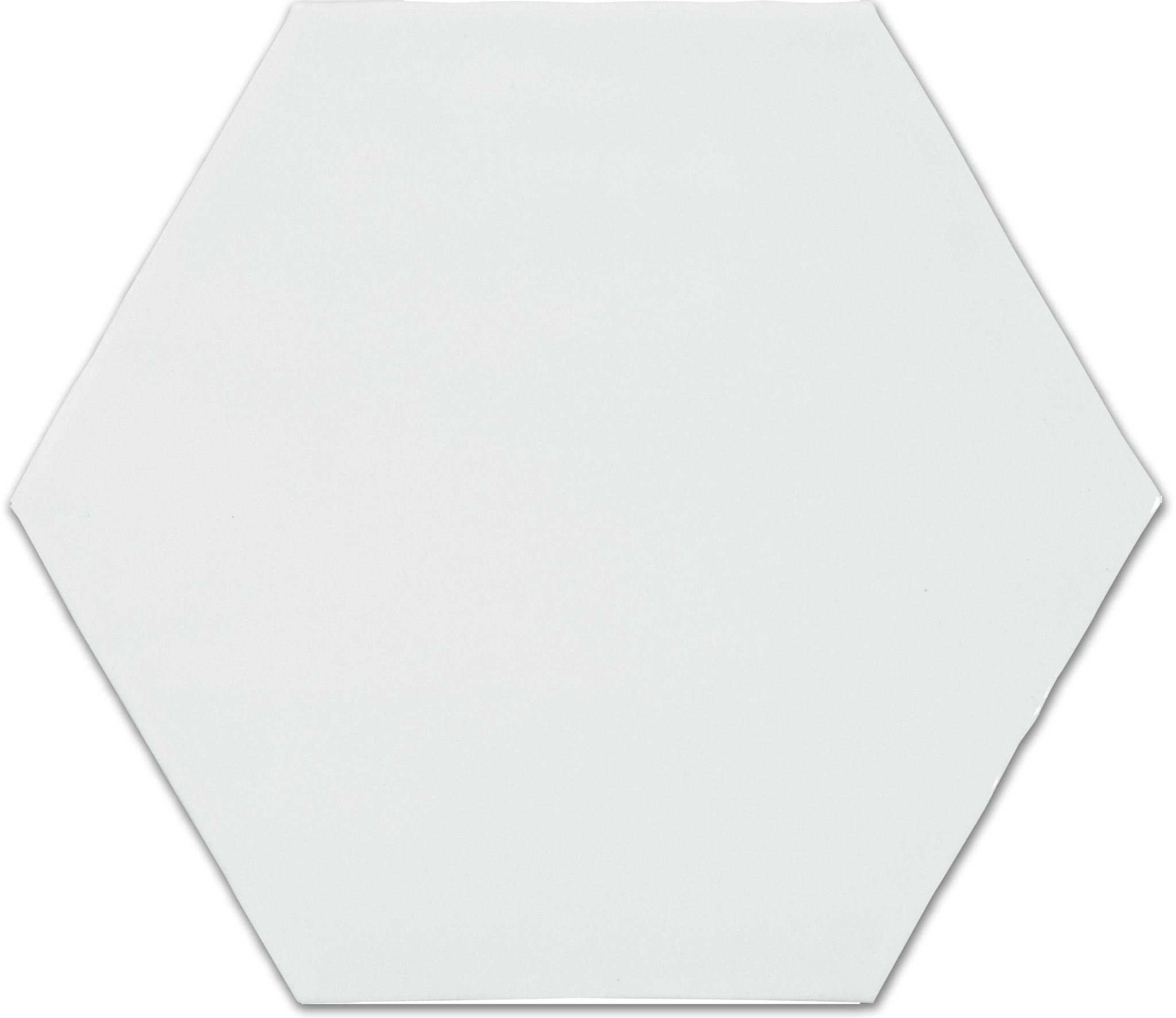 6″ Bray Powder Glossy Hexagon