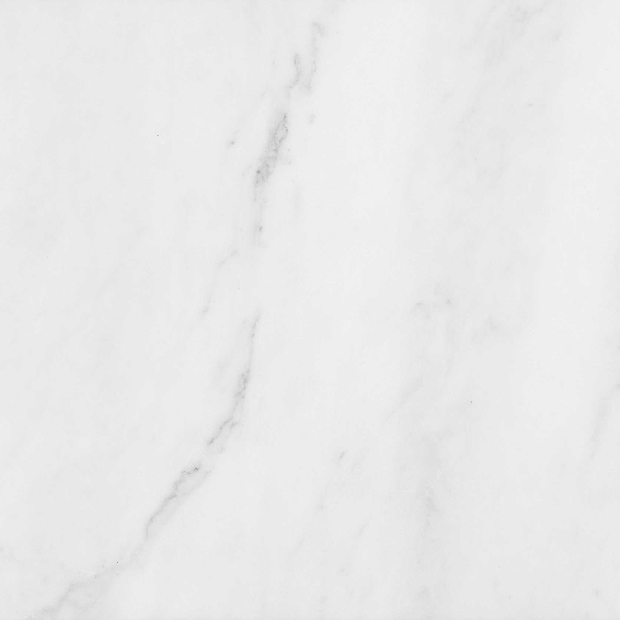 Bianco Venatino 12x12 Honed