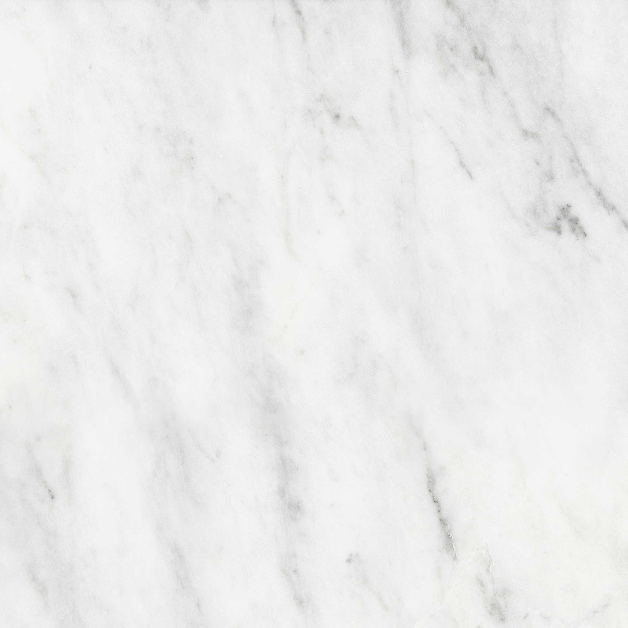 Bianco Venatino 18x18 Honed