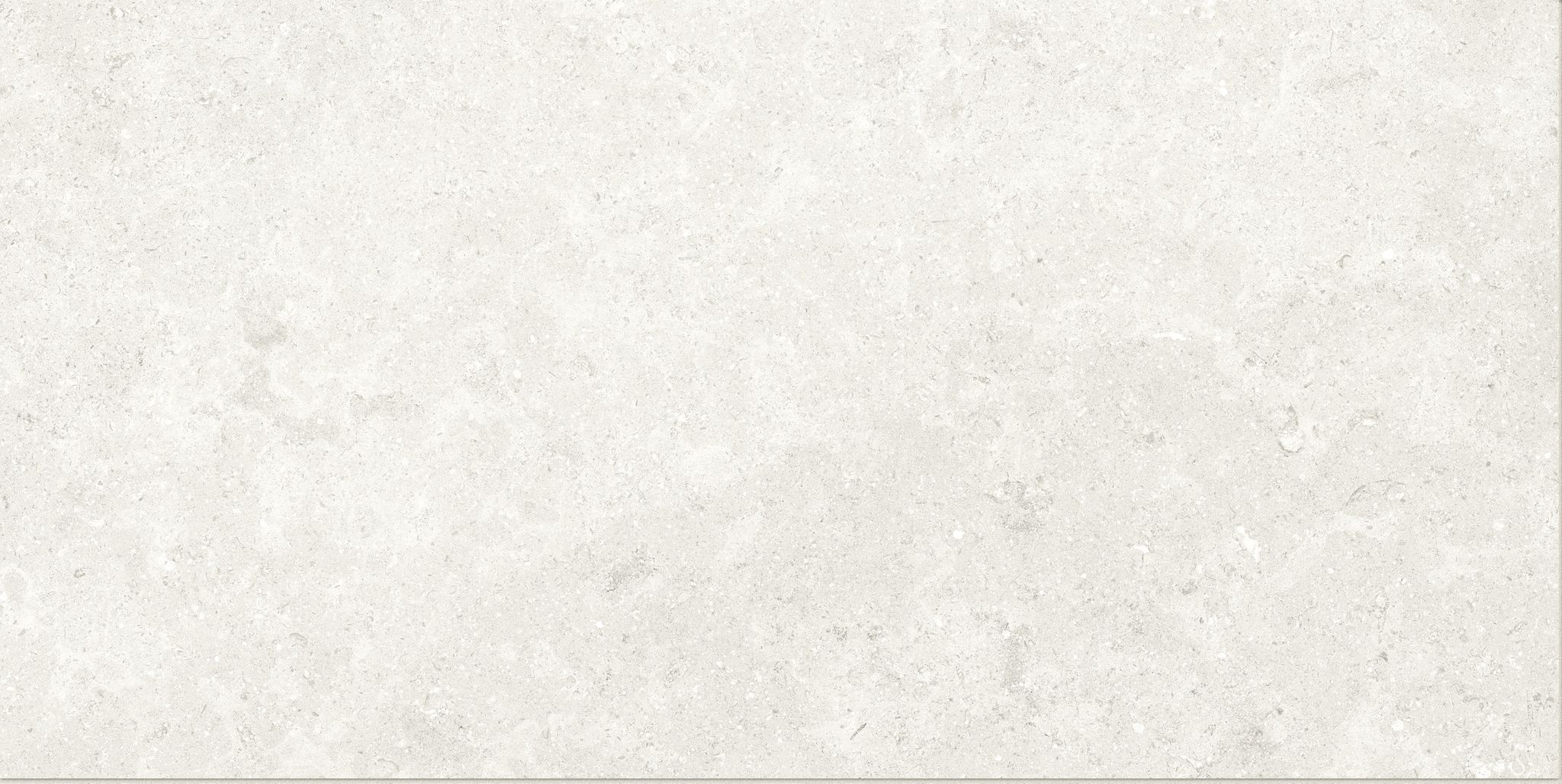 Denver 12X24F Pearl Matte