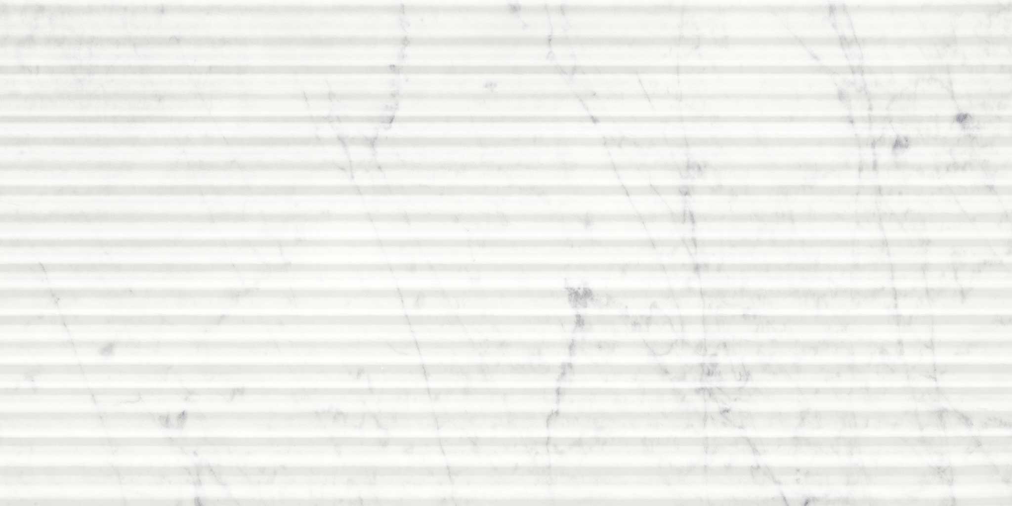 Eterna Bianco 12x24 Honed Curva