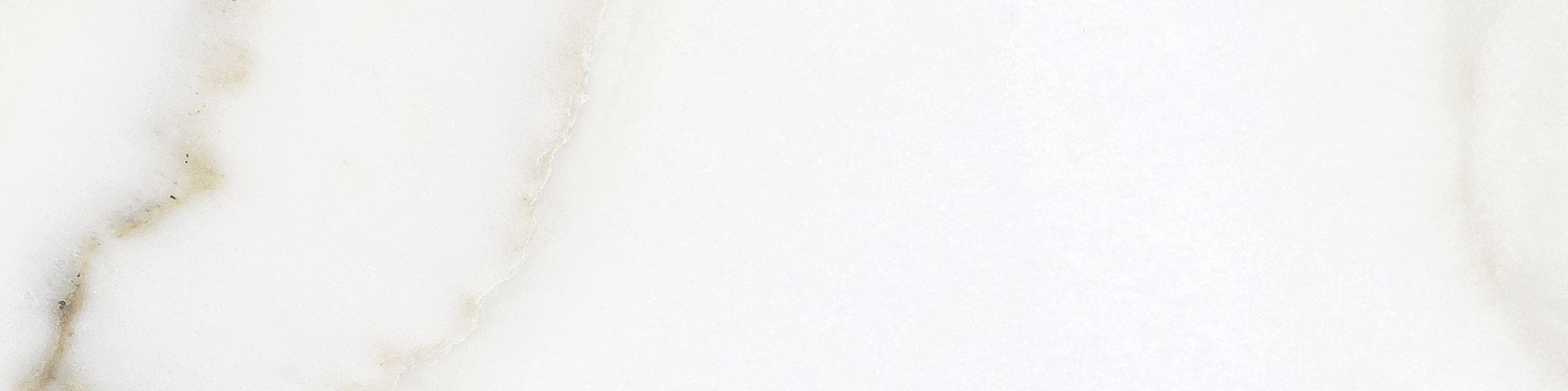 Florence 3x12 Calacatta Matte Bullnose