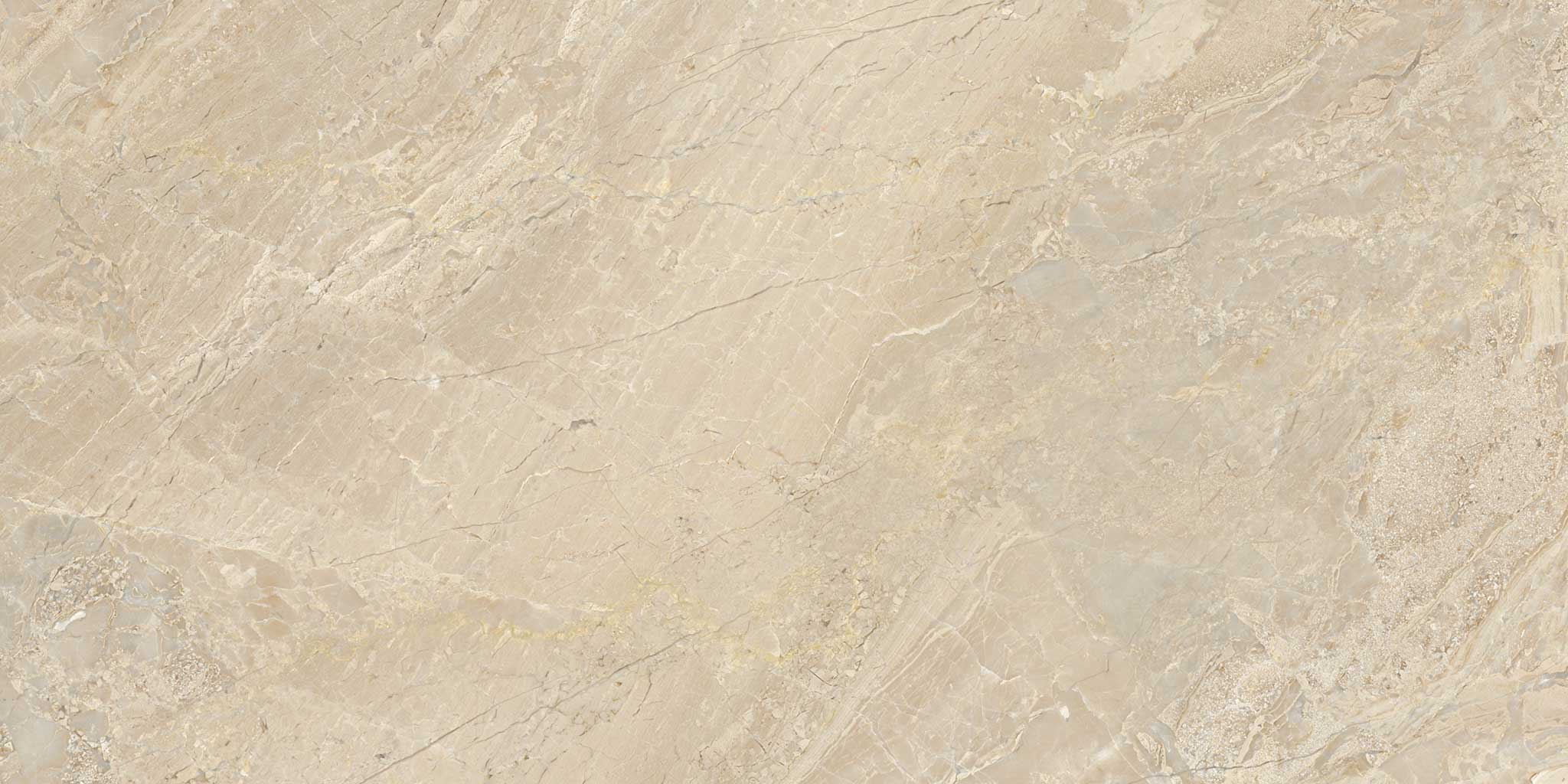 Impero Reale 12×24 Polished