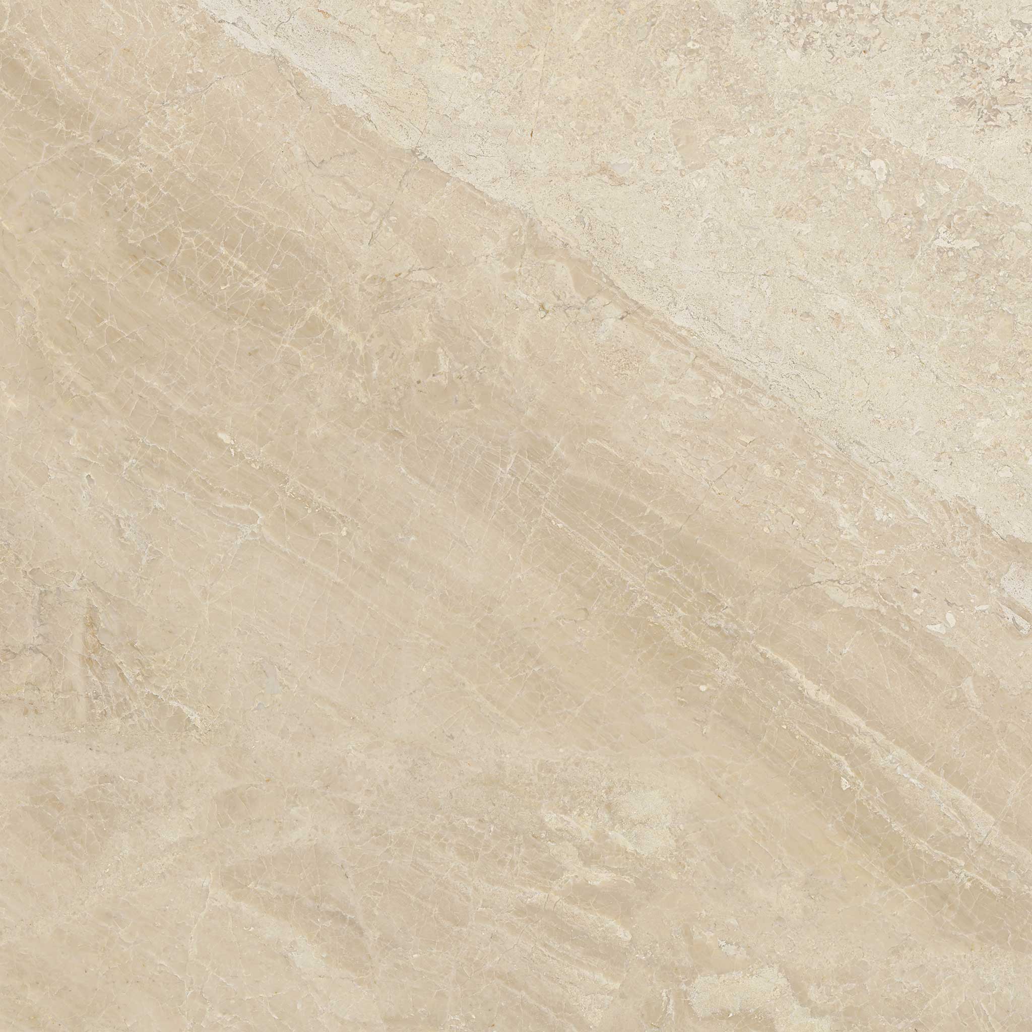 Impero Reale 24×24 Honed