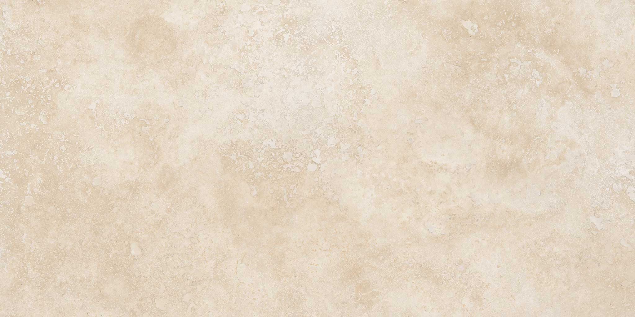 Ivory 12×24