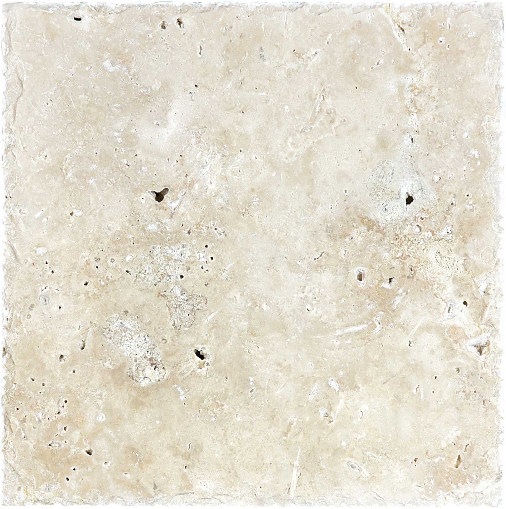 Ivory 8×8