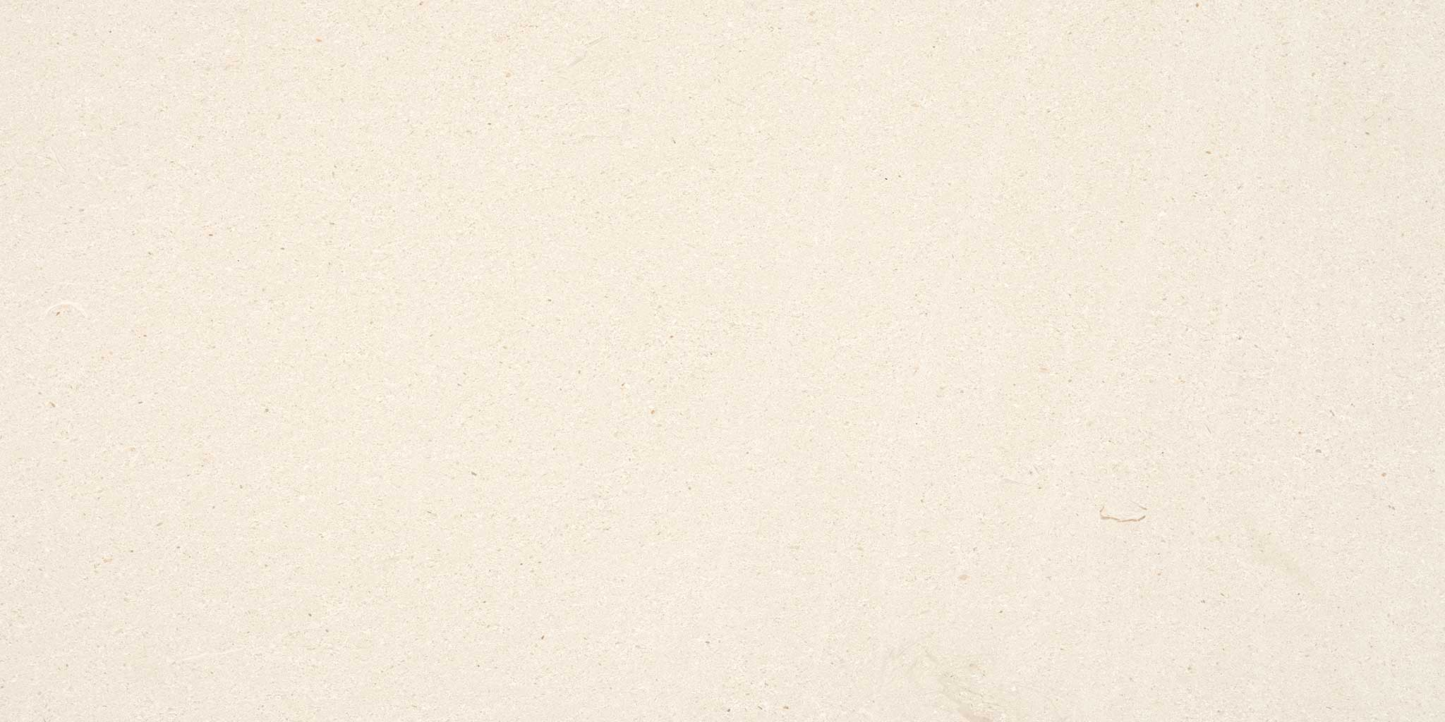 Serene Ivory 12×24