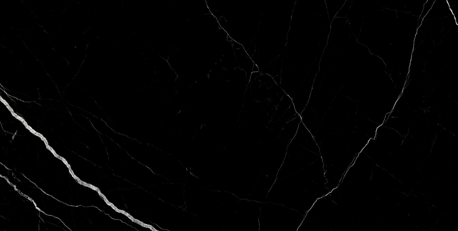Treasure Midnight Nero 24×48 Polished