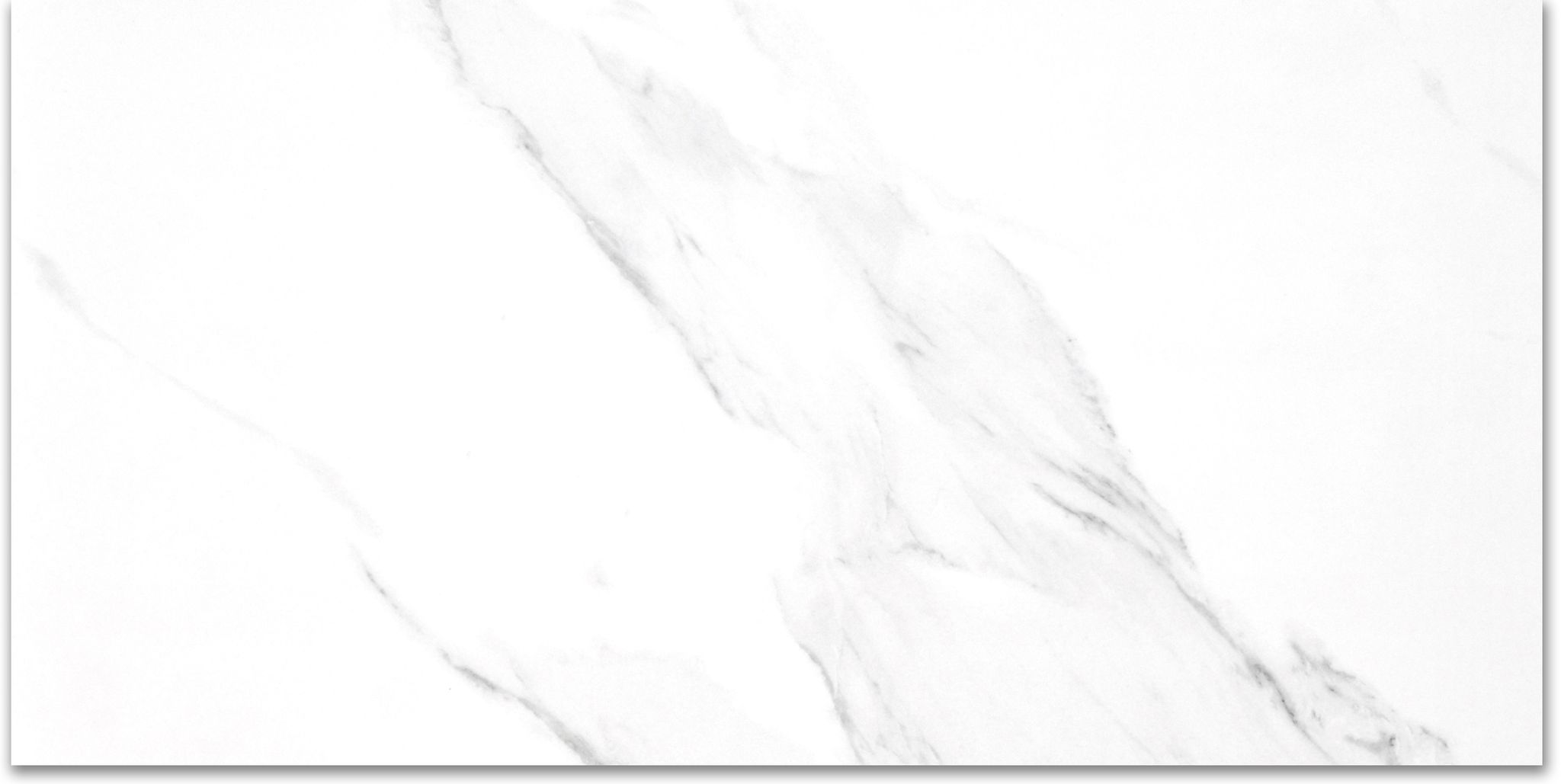 Treasure Statuario 24×48 Polished