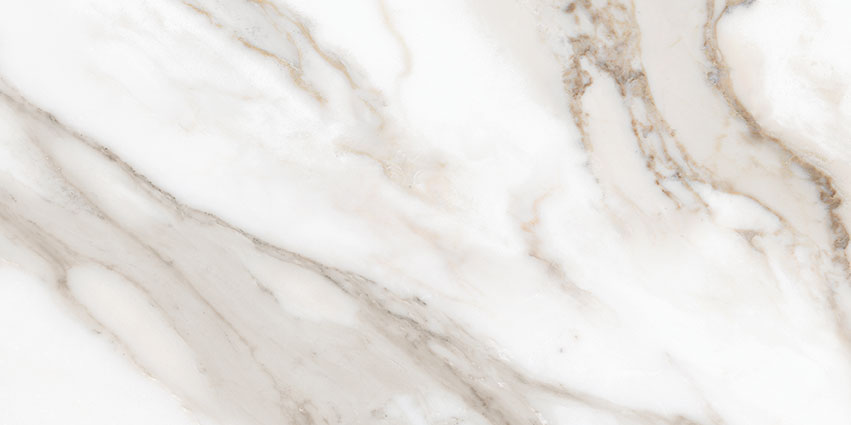 Royal Stoneworks 12X24 Calacatta Royale Honed