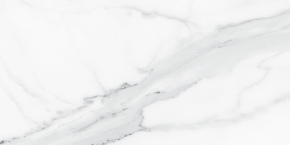 Royal Stoneworks 12X24 Grandvein White Honed