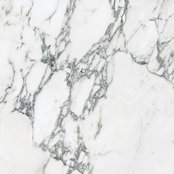 Royal Stoneworks 24X24 Italian Arabescato Honed