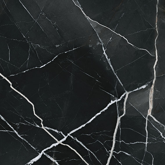 Royal Stoneworks 24X24 Regal Black Vein Honed