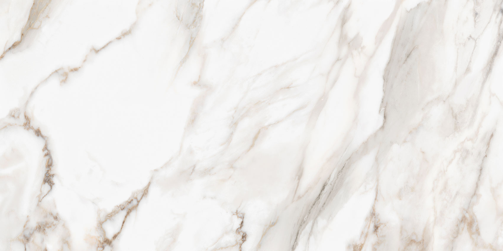 Royal Stoneworks 24X48 Calacatta Royale Honed