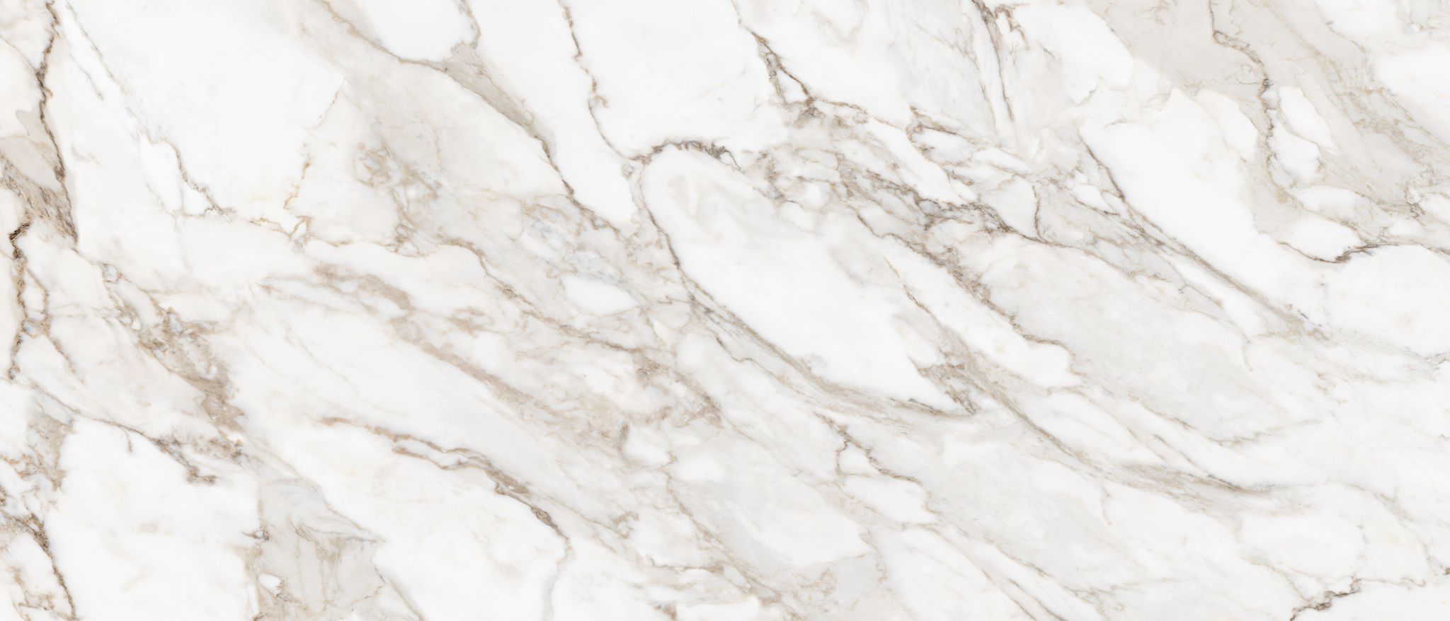 Royal Stoneworks 48X110 Calacatta Royale Honed