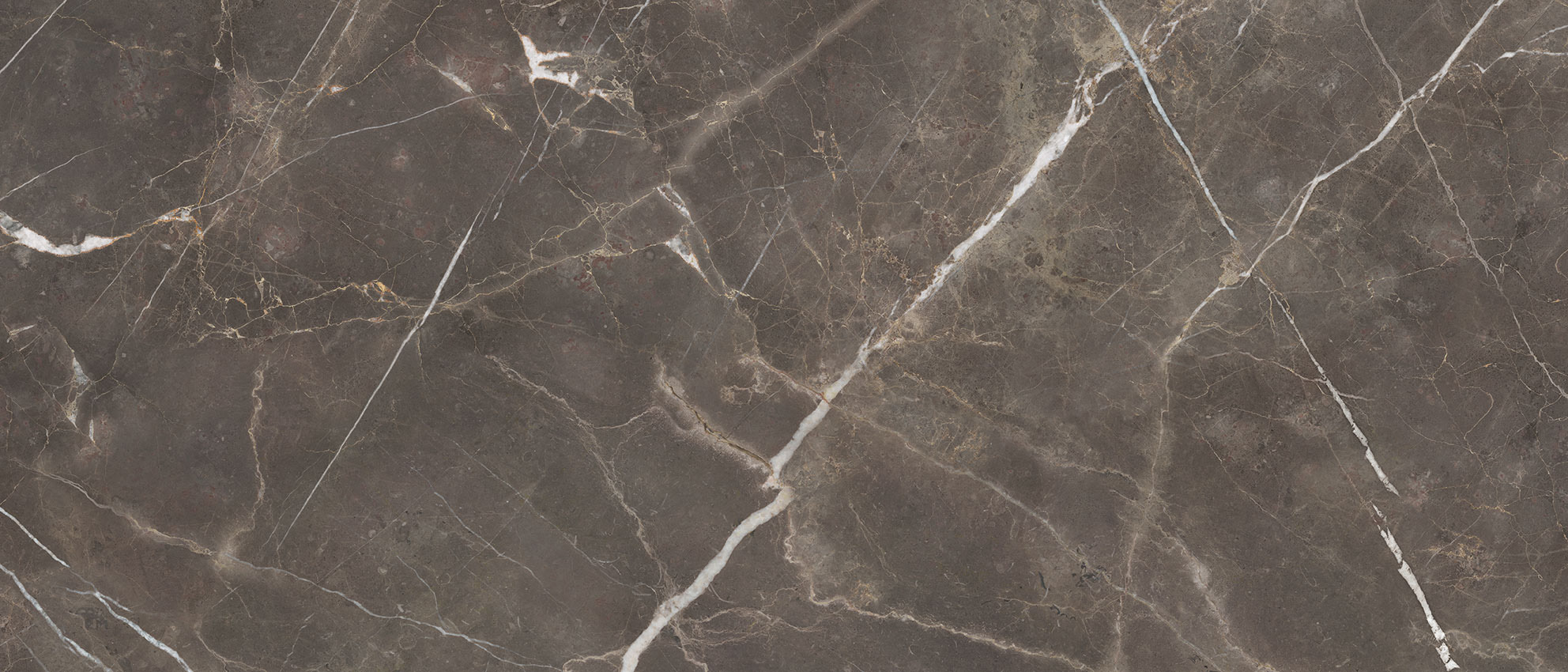 Royal Stoneworks 48X110 Regal Brown Marble Polished