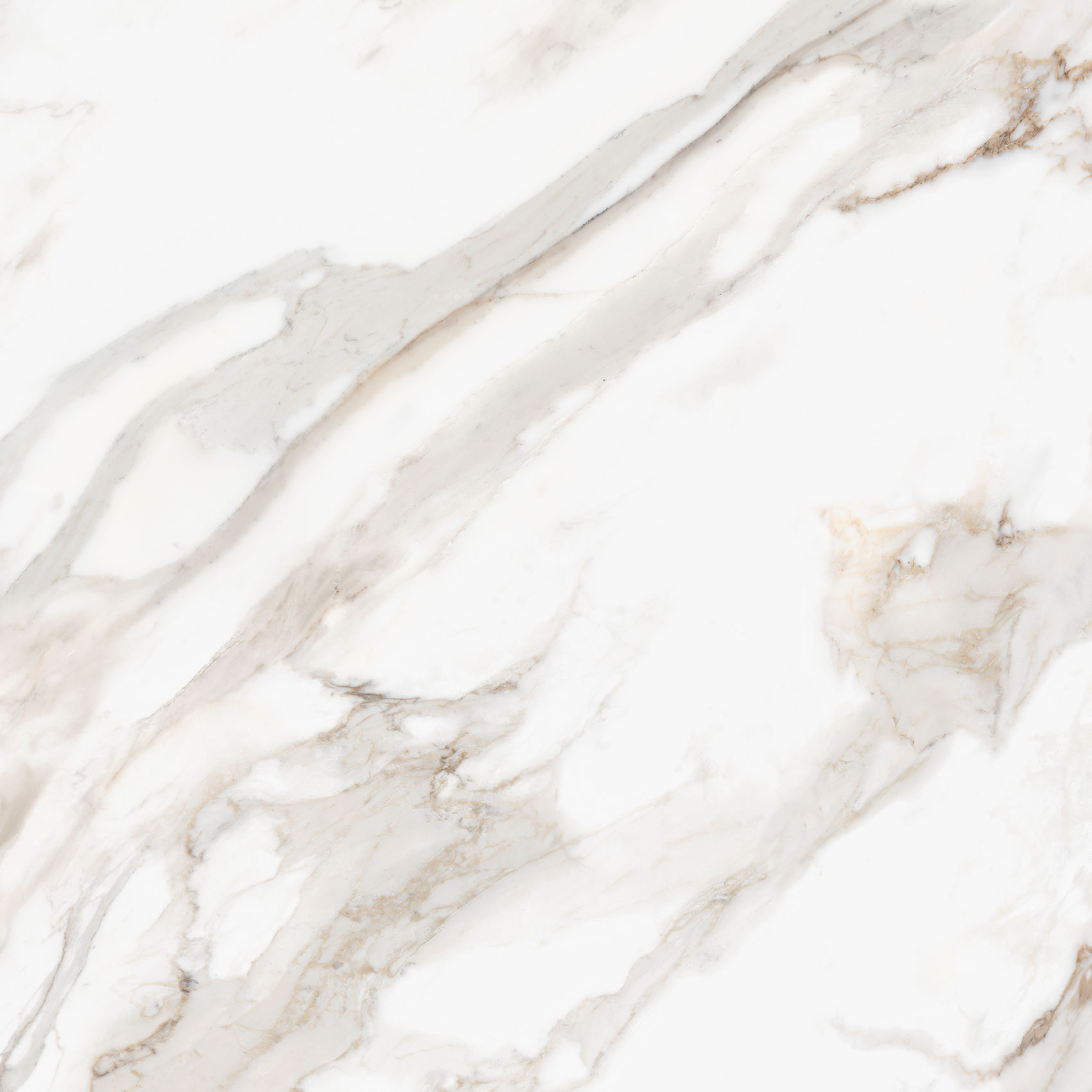 Royal Stoneworks 48X48 Calacatta Royale Honed