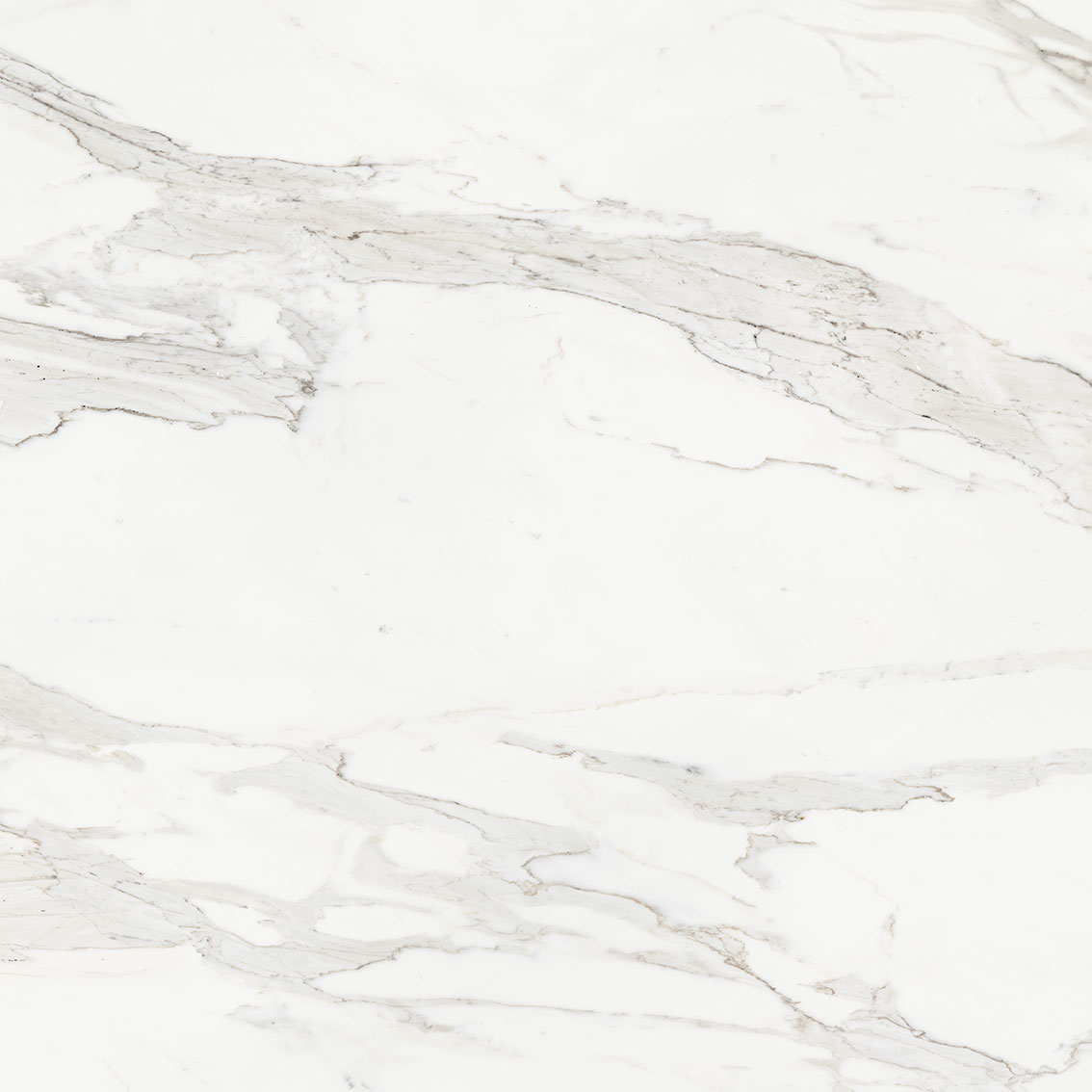 Royal Stoneworks 48X48 Crown Calacatta Honed