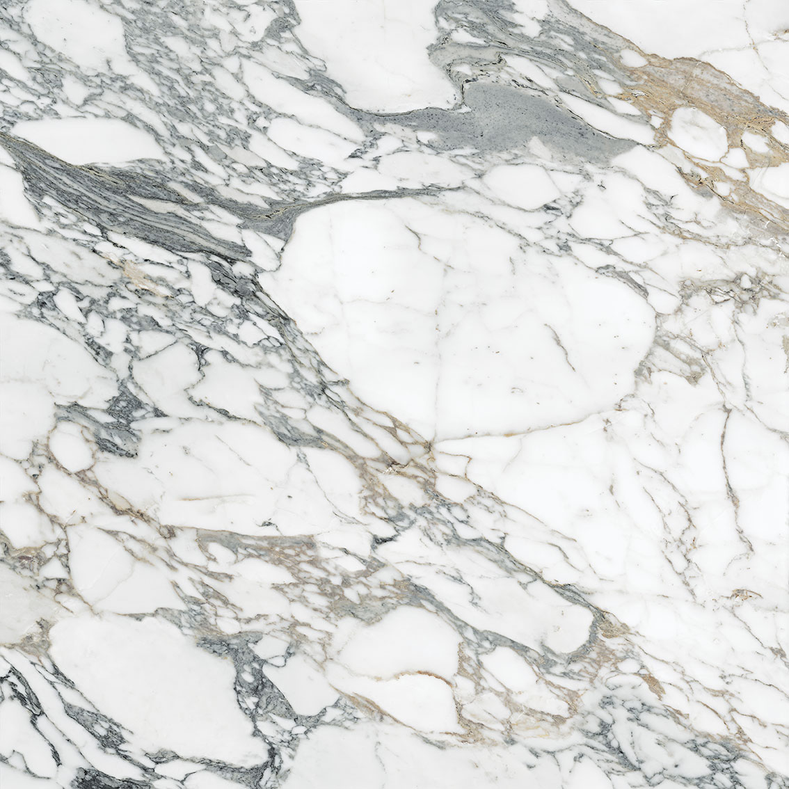 Royal Stoneworks 48X48 Italian Arabescato Polished