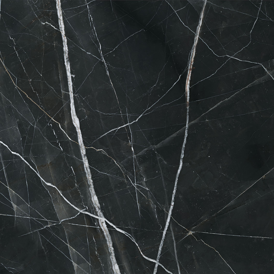 Royal Stoneworks 48X48 Regal Black Vein Polished