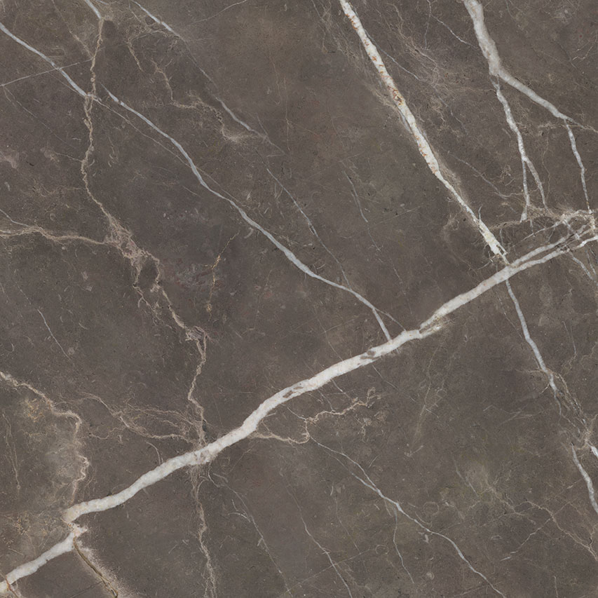 Royal Stoneworks 48X48 Regal Brown Marble Polished