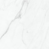 Altezza 13x13 Carrara | Young Interiors Flooring Center