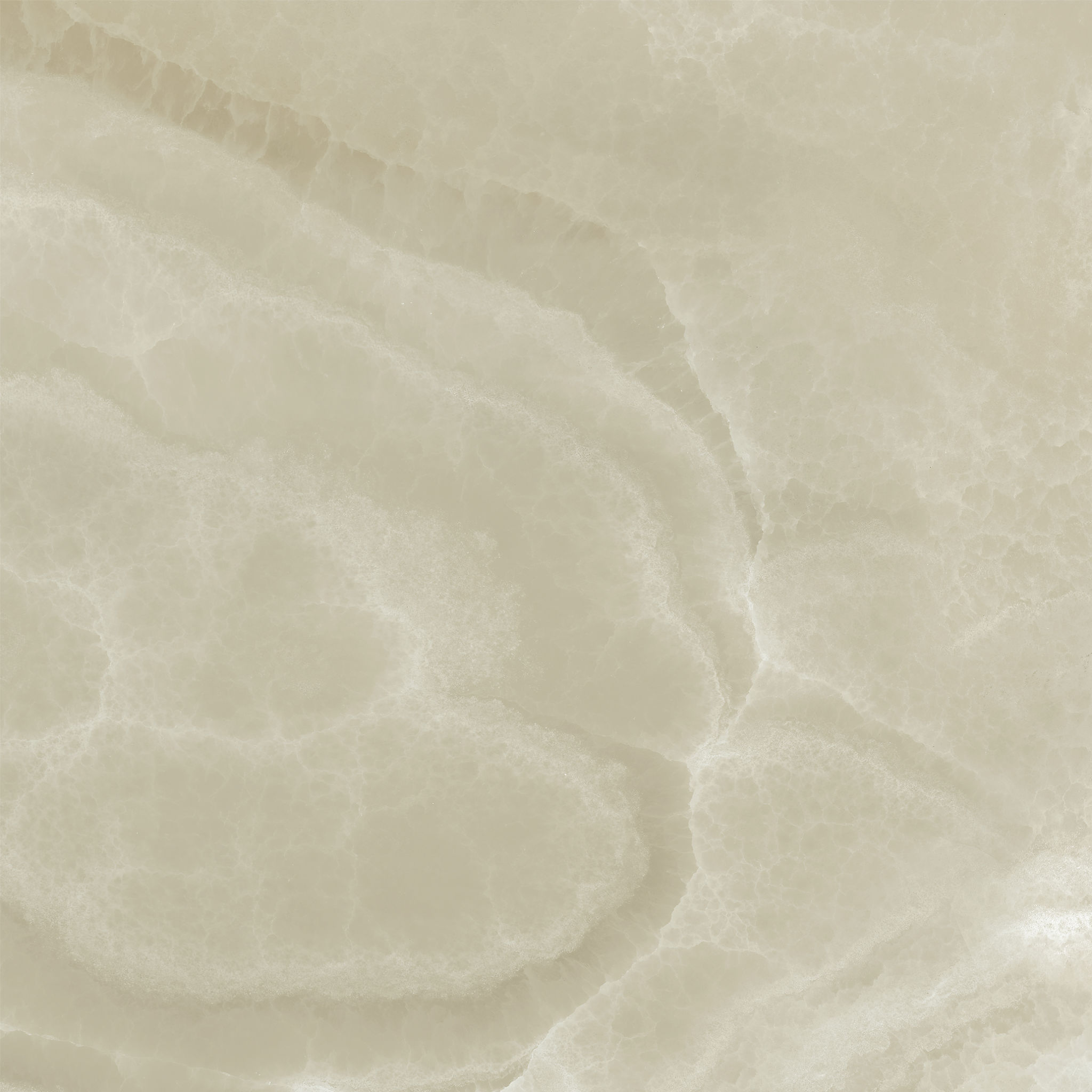 Lustra 24×24 Onyx Hazel Honed