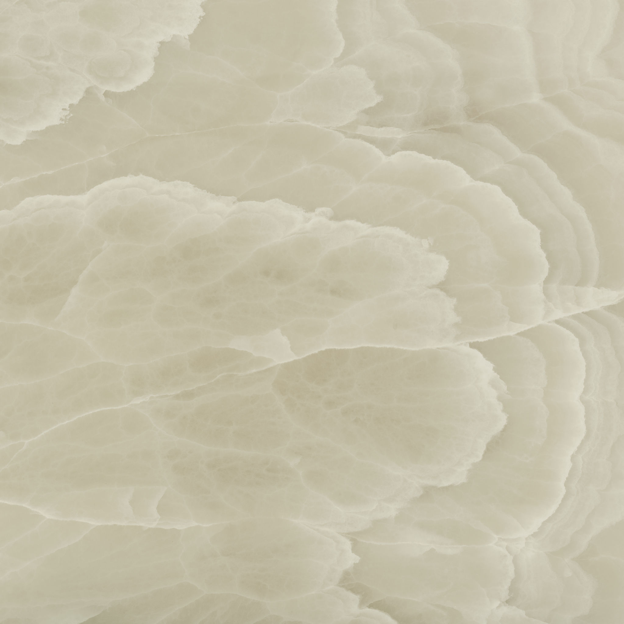 Lustra 48×48 Onyx Hazel Honed
