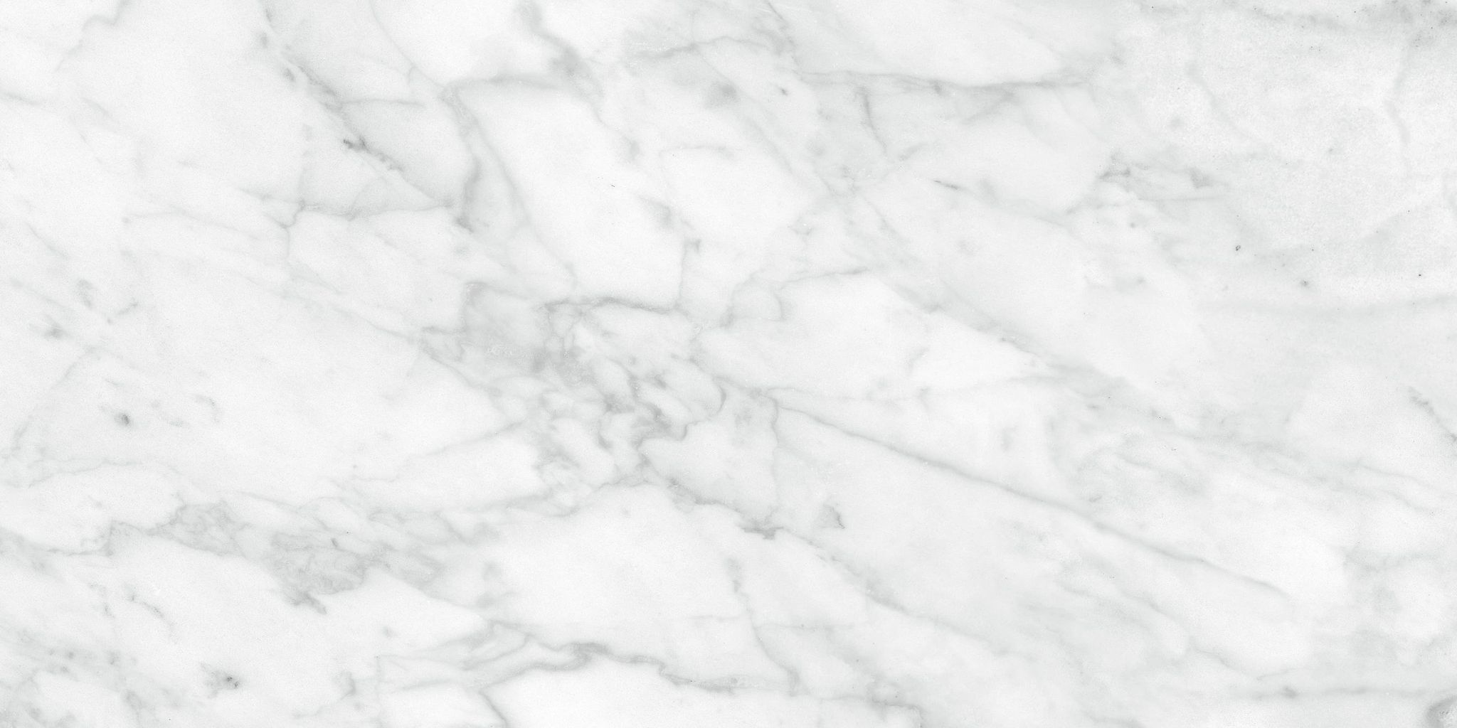 Plata 12×24 Carrara Abisso Polished