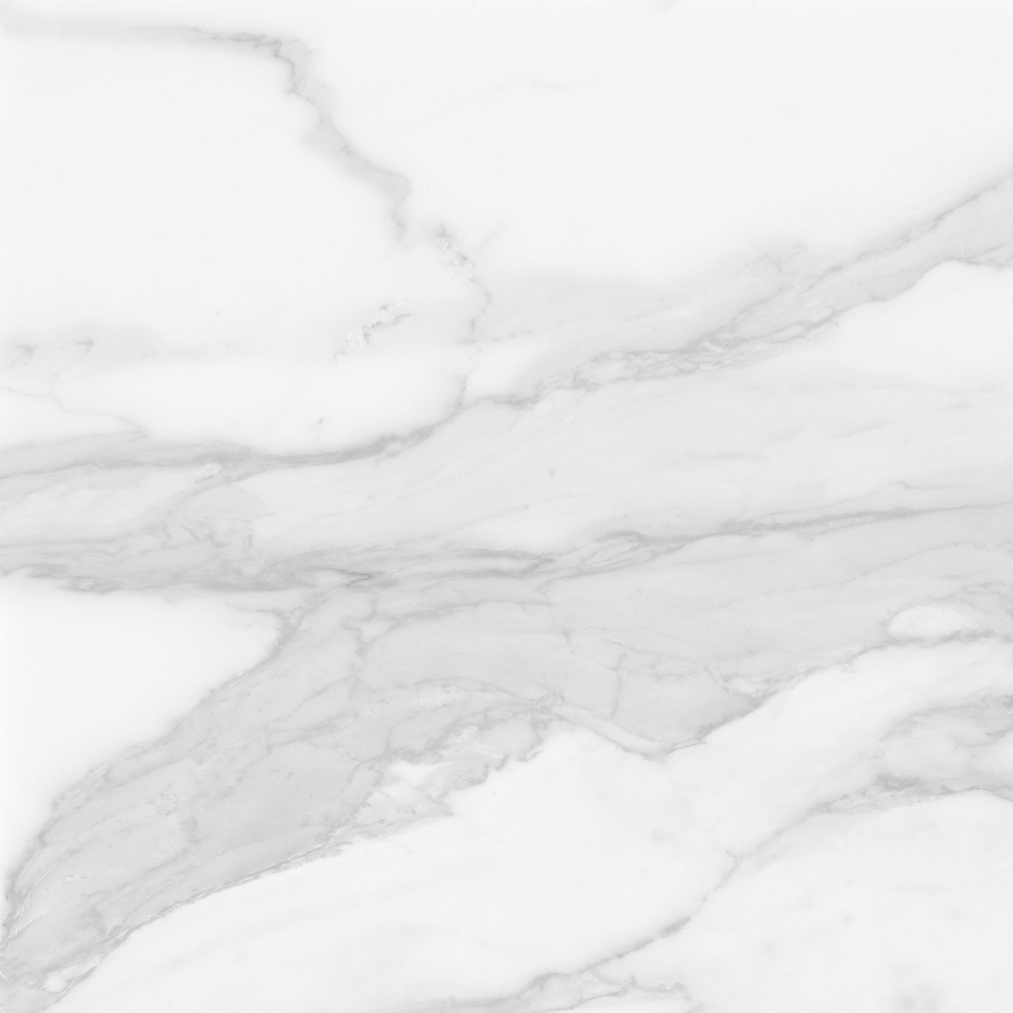 Plata 24×24 Statuario Brina Matte