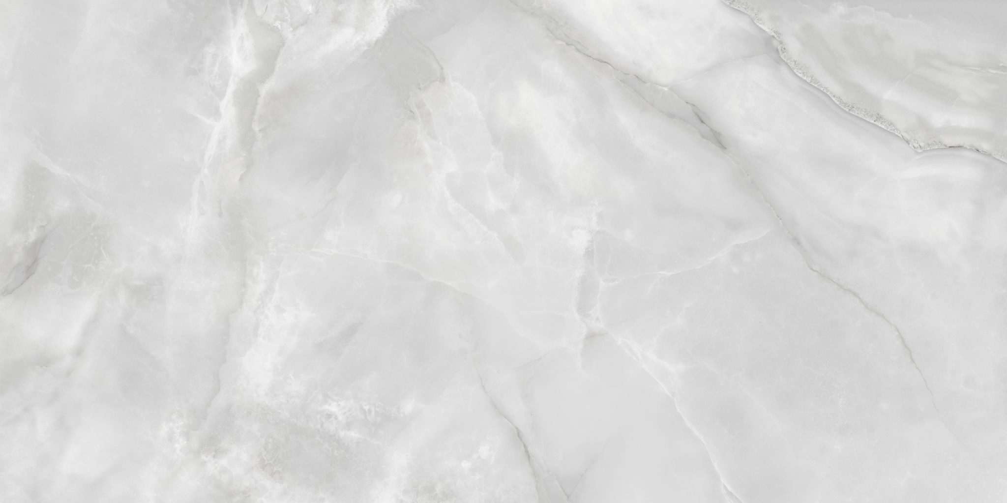Plata 24×48 Onyx Crystallo Matte
