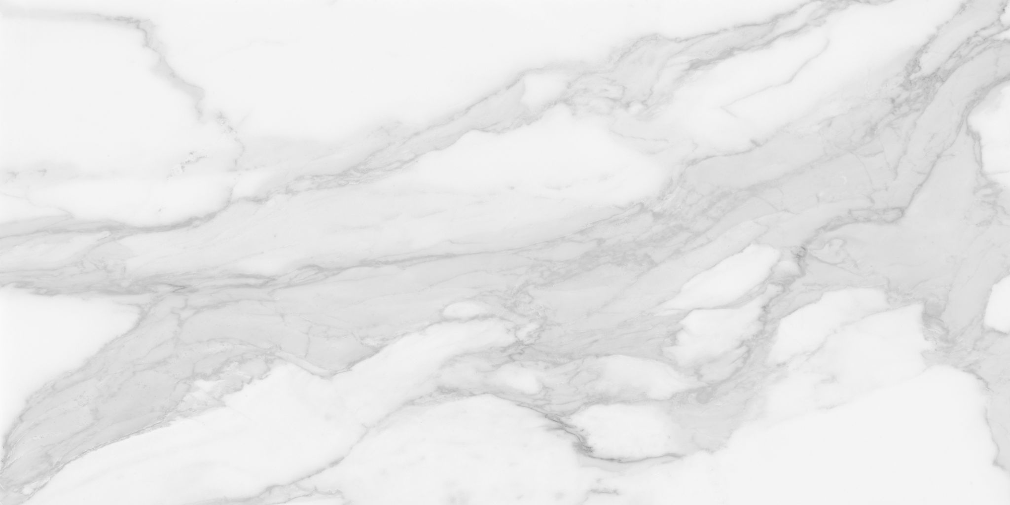 Plata 24×48 Statuario Brina Polished