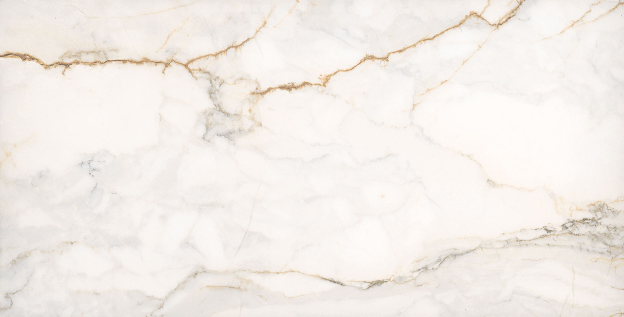 Treasure II Perfect Calacatta 12×24 Polished