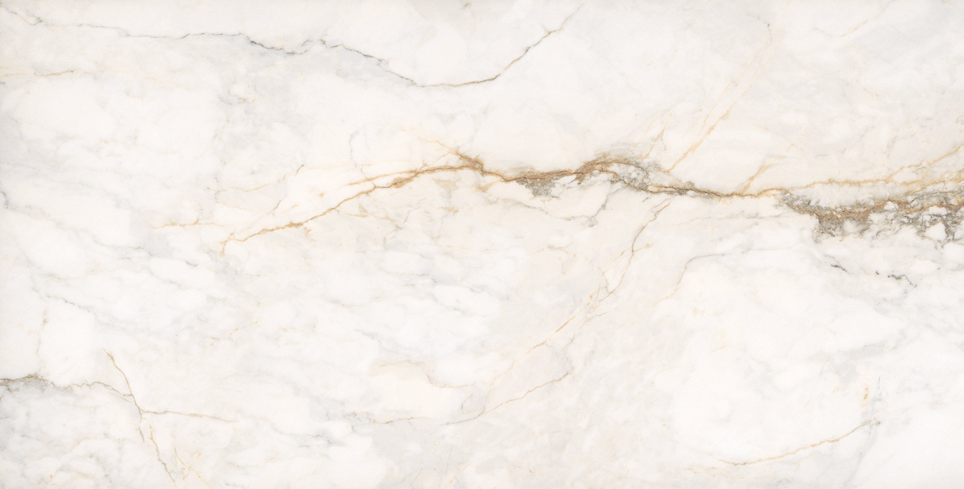 Treasure II Perfect Calacatta 24×48 Polished