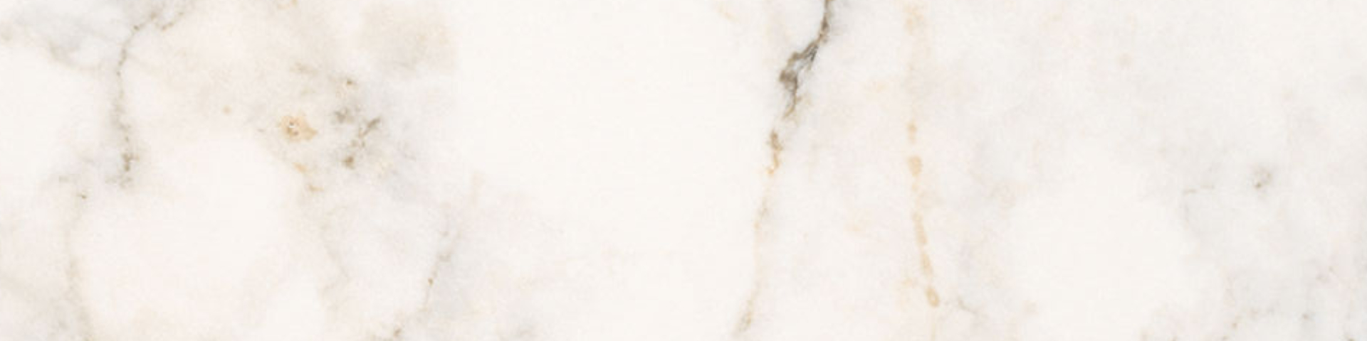 Treasure II Perfect Calacatta 4×12 Polished